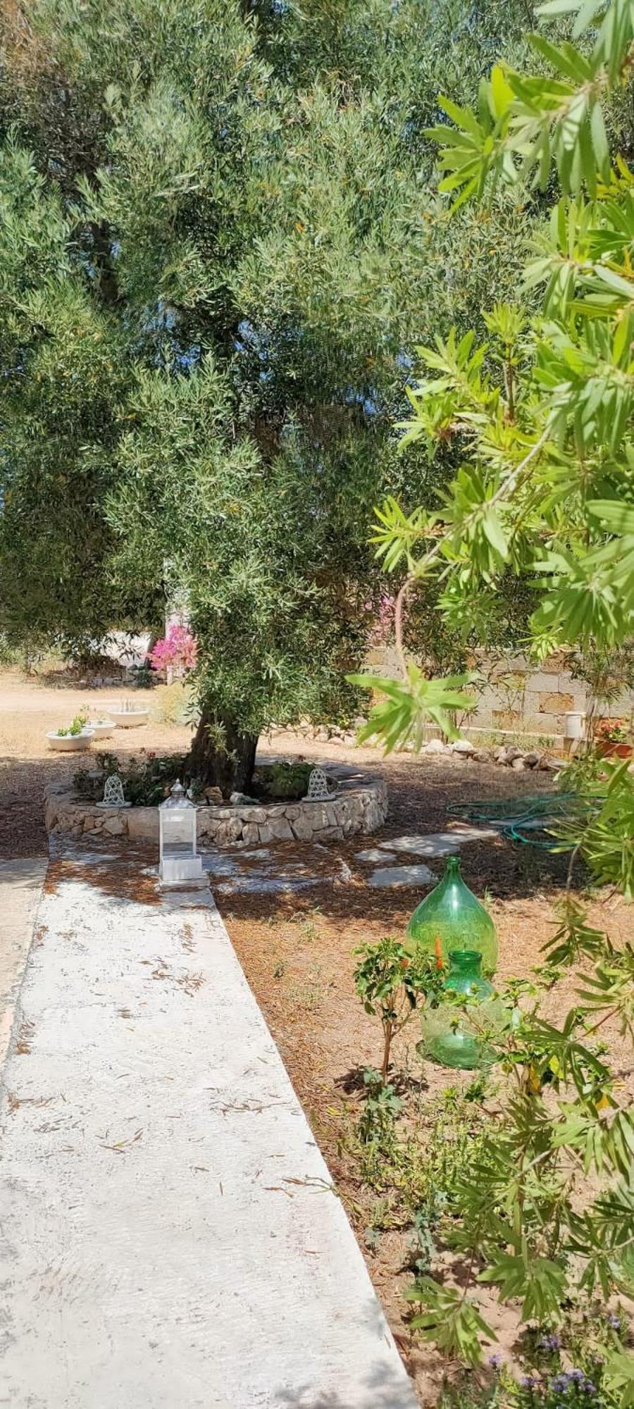 Trullo Alessandro E Villa Raffaela Сан-Віто-дей-Норманні Номер фото