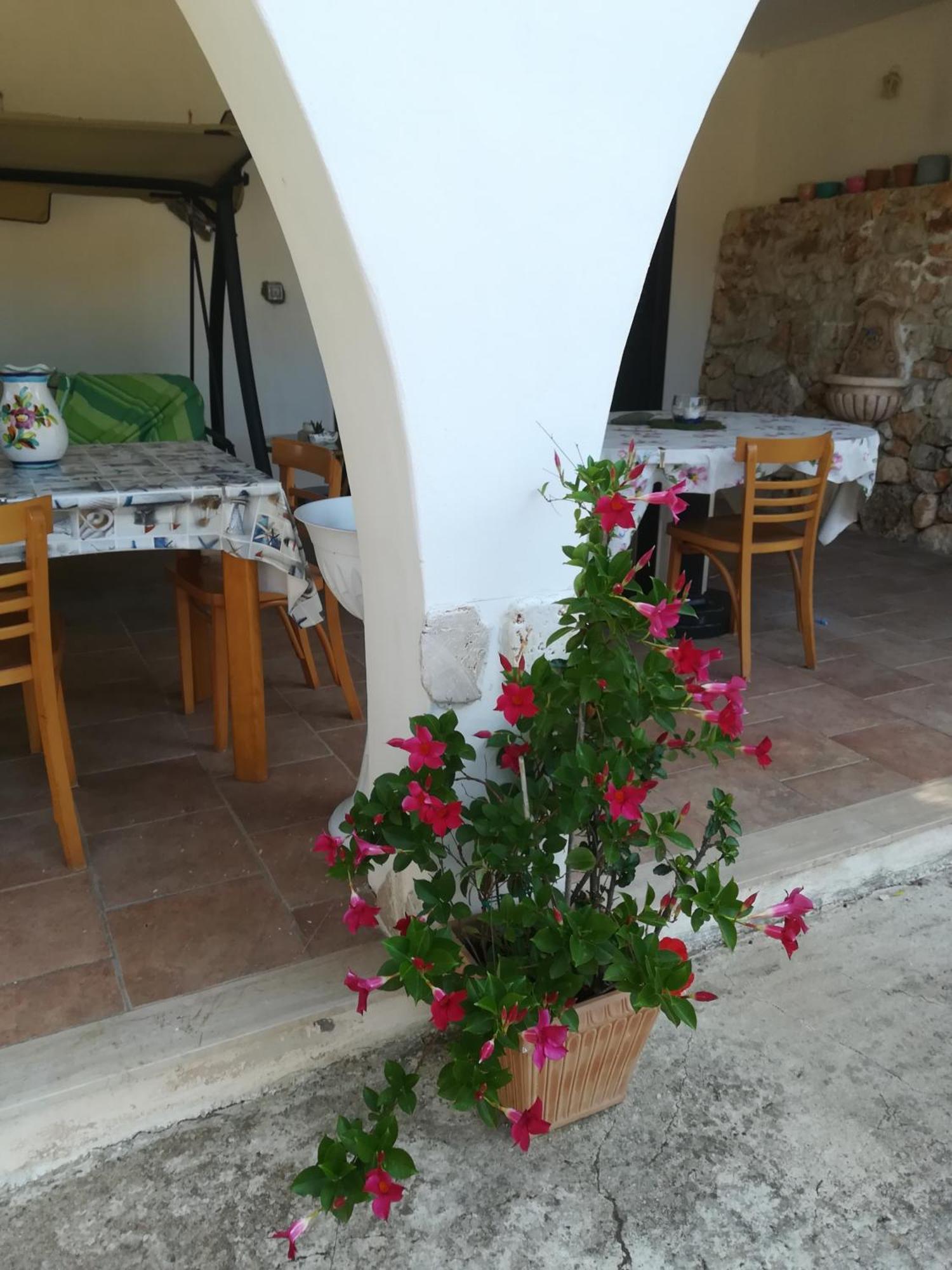 Trullo Alessandro E Villa Raffaela Сан-Віто-дей-Норманні Номер фото